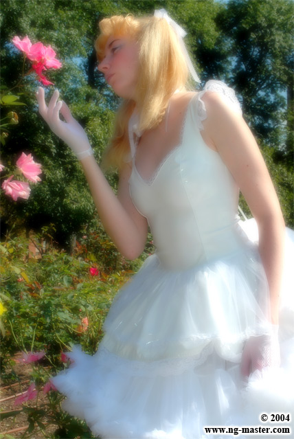 dsc_0340-soft